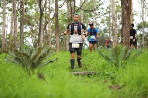 BIB: 5223
                            <button type="button" onclick="openModal(4016885)" class="btn btn-primary btn-sm float-right btn-popup" data-toggle="modal" data-target=".modal-high-quality">
                        <i class="fas fa-shopping-cart"></i> Add to Cart
                    </button>
                                            <button type="button" onclick="isThisMe(4016885, true)" class="btn btn-success btn-sm float-right btn-popup btn-isme hidden" data-toggle="tooltip" data-placement="bottom" title="นี่คือรูปของคุณใช่ไหม คลิกที่นี่เพื่อเอาเข้าอัลบั้ม">
                        <i class="fas fa-plus"></i> Add to album
                    </button>
                    <button type="button" onclick="isThisMe(4016885, false)" class="btn btn-warning btn-sm float-right btn-popup btn-isnotme hidden">
                        <i class="fas fa-ban"></i> Remove from album
                    </button>