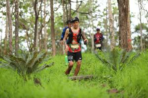 BIB: 5359
                            <button type="button" onclick="openModal(4017008)" class="btn btn-primary btn-sm float-right btn-popup" data-toggle="modal" data-target=".modal-high-quality">
                        <i class="fas fa-shopping-cart"></i> Add to Cart
                    </button>
                                            <button type="button" onclick="isThisMe(4017008, true)" class="btn btn-success btn-sm float-right btn-popup btn-isme hidden" data-toggle="tooltip" data-placement="bottom" title="นี่คือรูปของคุณใช่ไหม คลิกที่นี่เพื่อเอาเข้าอัลบั้ม">
                        <i class="fas fa-plus"></i> Add to album
                    </button>
                    <button type="button" onclick="isThisMe(4017008, false)" class="btn btn-warning btn-sm float-right btn-popup btn-isnotme hidden">
                        <i class="fas fa-ban"></i> Remove from album
                    </button>