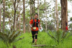 BIB: 412
                            <button type="button" onclick="openModal(4016581)" class="btn btn-primary btn-sm float-right btn-popup" data-toggle="modal" data-target=".modal-high-quality">
                        <i class="fas fa-shopping-cart"></i> Add to Cart
                    </button>
                                            <button type="button" onclick="isThisMe(4016581, true)" class="btn btn-success btn-sm float-right btn-popup btn-isme hidden" data-toggle="tooltip" data-placement="bottom" title="นี่คือรูปของคุณใช่ไหม คลิกที่นี่เพื่อเอาเข้าอัลบั้ม">
                        <i class="fas fa-plus"></i> Add to album
                    </button>
                    <button type="button" onclick="isThisMe(4016581, false)" class="btn btn-warning btn-sm float-right btn-popup btn-isnotme hidden">
                        <i class="fas fa-ban"></i> Remove from album
                    </button>