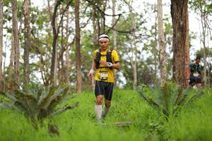 BIB: 5328
                            <button type="button" onclick="openModal(4016456)" class="btn btn-primary btn-sm float-right btn-popup" data-toggle="modal" data-target=".modal-high-quality">
                        <i class="fas fa-shopping-cart"></i> Add to Cart
                    </button>
                                            <button type="button" onclick="isThisMe(4016456, true)" class="btn btn-success btn-sm float-right btn-popup btn-isme hidden" data-toggle="tooltip" data-placement="bottom" title="นี่คือรูปของคุณใช่ไหม คลิกที่นี่เพื่อเอาเข้าอัลบั้ม">
                        <i class="fas fa-plus"></i> Add to album
                    </button>
                    <button type="button" onclick="isThisMe(4016456, false)" class="btn btn-warning btn-sm float-right btn-popup btn-isnotme hidden">
                        <i class="fas fa-ban"></i> Remove from album
                    </button>