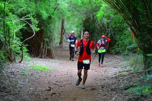 BIB: 8353
                            <button type="button" onclick="openModal(4252769)" class="btn btn-primary btn-sm float-right btn-popup" data-toggle="modal" data-target=".modal-high-quality">
                        <i class="fas fa-shopping-cart"></i> Add to Cart
                    </button>
                                            <button type="button" onclick="isThisMe(4252769, true)" class="btn btn-success btn-sm float-right btn-popup btn-isme hidden" data-toggle="tooltip" data-placement="bottom" title="นี่คือรูปของคุณใช่ไหม คลิกที่นี่เพื่อเอาเข้าอัลบั้ม">
                        <i class="fas fa-plus"></i> Add to album
                    </button>
                    <button type="button" onclick="isThisMe(4252769, false)" class="btn btn-warning btn-sm float-right btn-popup btn-isnotme hidden">
                        <i class="fas fa-ban"></i> Remove from album
                    </button>