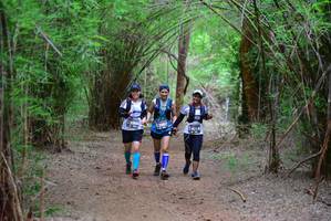 BIB: 39662, 3067, 4014
                            <button type="button" onclick="openModal(4250102)" class="btn btn-primary btn-sm float-right btn-popup" data-toggle="modal" data-target=".modal-high-quality">
                        <i class="fas fa-shopping-cart"></i> Add to Cart
                    </button>
                                            <button type="button" onclick="isThisMe(4250102, true)" class="btn btn-success btn-sm float-right btn-popup btn-isme hidden" data-toggle="tooltip" data-placement="bottom" title="นี่คือรูปของคุณใช่ไหม คลิกที่นี่เพื่อเอาเข้าอัลบั้ม">
                        <i class="fas fa-plus"></i> Add to album
                    </button>
                    <button type="button" onclick="isThisMe(4250102, false)" class="btn btn-warning btn-sm float-right btn-popup btn-isnotme hidden">
                        <i class="fas fa-ban"></i> Remove from album
                    </button>