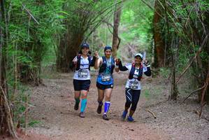 BIB: 3966, 3967, 4014
                            <button type="button" onclick="openModal(4250109)" class="btn btn-primary btn-sm float-right btn-popup" data-toggle="modal" data-target=".modal-high-quality">
                        <i class="fas fa-shopping-cart"></i> Add to Cart
                    </button>
                                            <button type="button" onclick="isThisMe(4250109, true)" class="btn btn-success btn-sm float-right btn-popup btn-isme hidden" data-toggle="tooltip" data-placement="bottom" title="นี่คือรูปของคุณใช่ไหม คลิกที่นี่เพื่อเอาเข้าอัลบั้ม">
                        <i class="fas fa-plus"></i> Add to album
                    </button>
                    <button type="button" onclick="isThisMe(4250109, false)" class="btn btn-warning btn-sm float-right btn-popup btn-isnotme hidden">
                        <i class="fas fa-ban"></i> Remove from album
                    </button>