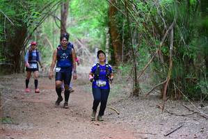 BIB: 3972
                            <button type="button" onclick="openModal(4188144)" class="btn btn-primary btn-sm float-right btn-popup" data-toggle="modal" data-target=".modal-high-quality">
                        <i class="fas fa-shopping-cart"></i> Add to Cart
                    </button>
                                            <button type="button" onclick="isThisMe(4188144, true)" class="btn btn-success btn-sm float-right btn-popup btn-isme hidden" data-toggle="tooltip" data-placement="bottom" title="นี่คือรูปของคุณใช่ไหม คลิกที่นี่เพื่อเอาเข้าอัลบั้ม">
                        <i class="fas fa-plus"></i> Add to album
                    </button>
                    <button type="button" onclick="isThisMe(4188144, false)" class="btn btn-warning btn-sm float-right btn-popup btn-isnotme hidden">
                        <i class="fas fa-ban"></i> Remove from album
                    </button>