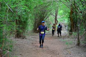 BIB: 
                            <button type="button" onclick="openModal(4250157)" class="btn btn-primary btn-sm float-right btn-popup" data-toggle="modal" data-target=".modal-high-quality">
                        <i class="fas fa-shopping-cart"></i> Add to Cart
                    </button>
                                            <button type="button" onclick="isThisMe(4250157, true)" class="btn btn-success btn-sm float-right btn-popup btn-isme hidden" data-toggle="tooltip" data-placement="bottom" title="นี่คือรูปของคุณใช่ไหม คลิกที่นี่เพื่อเอาเข้าอัลบั้ม">
                        <i class="fas fa-plus"></i> Add to album
                    </button>
                    <button type="button" onclick="isThisMe(4250157, false)" class="btn btn-warning btn-sm float-right btn-popup btn-isnotme hidden">
                        <i class="fas fa-ban"></i> Remove from album
                    </button>