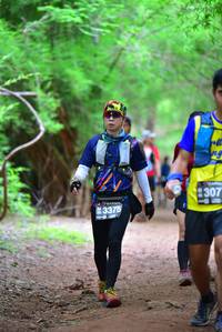 BIB: 307, 3375
                            <button type="button" onclick="openModal(4250819)" class="btn btn-primary btn-sm float-right btn-popup" data-toggle="modal" data-target=".modal-high-quality">
                        <i class="fas fa-shopping-cart"></i> Add to Cart
                    </button>
                                            <button type="button" onclick="isThisMe(4250819, true)" class="btn btn-success btn-sm float-right btn-popup btn-isme hidden" data-toggle="tooltip" data-placement="bottom" title="นี่คือรูปของคุณใช่ไหม คลิกที่นี่เพื่อเอาเข้าอัลบั้ม">
                        <i class="fas fa-plus"></i> Add to album
                    </button>
                    <button type="button" onclick="isThisMe(4250819, false)" class="btn btn-warning btn-sm float-right btn-popup btn-isnotme hidden">
                        <i class="fas fa-ban"></i> Remove from album
                    </button>