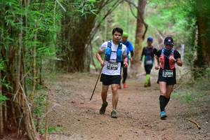 BIB: 3395, 3394
                            <button type="button" onclick="openModal(4186833)" class="btn btn-primary btn-sm float-right btn-popup" data-toggle="modal" data-target=".modal-high-quality">
                        <i class="fas fa-shopping-cart"></i> Add to Cart
                    </button>
                                            <button type="button" onclick="isThisMe(4186833, true)" class="btn btn-success btn-sm float-right btn-popup btn-isme hidden" data-toggle="tooltip" data-placement="bottom" title="นี่คือรูปของคุณใช่ไหม คลิกที่นี่เพื่อเอาเข้าอัลบั้ม">
                        <i class="fas fa-plus"></i> Add to album
                    </button>
                    <button type="button" onclick="isThisMe(4186833, false)" class="btn btn-warning btn-sm float-right btn-popup btn-isnotme hidden">
                        <i class="fas fa-ban"></i> Remove from album
                    </button>