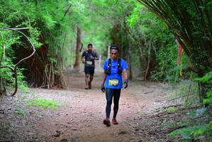 BIB: 5250
                            <button type="button" onclick="openModal(4253753)" class="btn btn-primary btn-sm float-right btn-popup" data-toggle="modal" data-target=".modal-high-quality">
                        <i class="fas fa-shopping-cart"></i> Add to Cart
                    </button>
                                            <button type="button" onclick="isThisMe(4253753, true)" class="btn btn-success btn-sm float-right btn-popup btn-isme hidden" data-toggle="tooltip" data-placement="bottom" title="นี่คือรูปของคุณใช่ไหม คลิกที่นี่เพื่อเอาเข้าอัลบั้ม">
                        <i class="fas fa-plus"></i> Add to album
                    </button>
                    <button type="button" onclick="isThisMe(4253753, false)" class="btn btn-warning btn-sm float-right btn-popup btn-isnotme hidden">
                        <i class="fas fa-ban"></i> Remove from album
                    </button>