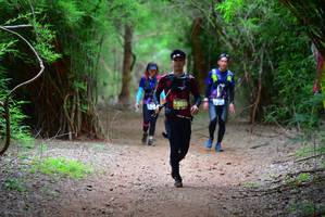 BIB: 5595
                            <button type="button" onclick="openModal(4252132)" class="btn btn-primary btn-sm float-right btn-popup" data-toggle="modal" data-target=".modal-high-quality">
                        <i class="fas fa-shopping-cart"></i> Add to Cart
                    </button>
                                            <button type="button" onclick="isThisMe(4252132, true)" class="btn btn-success btn-sm float-right btn-popup btn-isme hidden" data-toggle="tooltip" data-placement="bottom" title="นี่คือรูปของคุณใช่ไหม คลิกที่นี่เพื่อเอาเข้าอัลบั้ม">
                        <i class="fas fa-plus"></i> Add to album
                    </button>
                    <button type="button" onclick="isThisMe(4252132, false)" class="btn btn-warning btn-sm float-right btn-popup btn-isnotme hidden">
                        <i class="fas fa-ban"></i> Remove from album
                    </button>