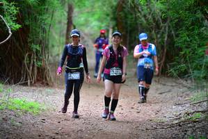 BIB: 3225, 
                            <button type="button" onclick="openModal(4251675)" class="btn btn-primary btn-sm float-right btn-popup" data-toggle="modal" data-target=".modal-high-quality">
                        <i class="fas fa-shopping-cart"></i> Add to Cart
                    </button>
                                            <button type="button" onclick="isThisMe(4251675, true)" class="btn btn-success btn-sm float-right btn-popup btn-isme hidden" data-toggle="tooltip" data-placement="bottom" title="นี่คือรูปของคุณใช่ไหม คลิกที่นี่เพื่อเอาเข้าอัลบั้ม">
                        <i class="fas fa-plus"></i> Add to album
                    </button>
                    <button type="button" onclick="isThisMe(4251675, false)" class="btn btn-warning btn-sm float-right btn-popup btn-isnotme hidden">
                        <i class="fas fa-ban"></i> Remove from album
                    </button>