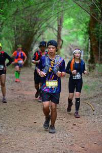 BIB: 176, 5583
                            <button type="button" onclick="openModal(4250290)" class="btn btn-primary btn-sm float-right btn-popup" data-toggle="modal" data-target=".modal-high-quality">
                        <i class="fas fa-shopping-cart"></i> Add to Cart
                    </button>
                                            <button type="button" onclick="isThisMe(4250290, true)" class="btn btn-success btn-sm float-right btn-popup btn-isme hidden" data-toggle="tooltip" data-placement="bottom" title="นี่คือรูปของคุณใช่ไหม คลิกที่นี่เพื่อเอาเข้าอัลบั้ม">
                        <i class="fas fa-plus"></i> Add to album
                    </button>
                    <button type="button" onclick="isThisMe(4250290, false)" class="btn btn-warning btn-sm float-right btn-popup btn-isnotme hidden">
                        <i class="fas fa-ban"></i> Remove from album
                    </button>