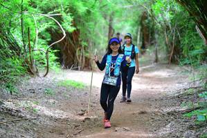 BIB: 13979
                            <button type="button" onclick="openModal(4251987)" class="btn btn-primary btn-sm float-right btn-popup" data-toggle="modal" data-target=".modal-high-quality">
                        <i class="fas fa-shopping-cart"></i> Add to Cart
                    </button>
                                            <button type="button" onclick="isThisMe(4251987, true)" class="btn btn-success btn-sm float-right btn-popup btn-isme hidden" data-toggle="tooltip" data-placement="bottom" title="นี่คือรูปของคุณใช่ไหม คลิกที่นี่เพื่อเอาเข้าอัลบั้ม">
                        <i class="fas fa-plus"></i> Add to album
                    </button>
                    <button type="button" onclick="isThisMe(4251987, false)" class="btn btn-warning btn-sm float-right btn-popup btn-isnotme hidden">
                        <i class="fas fa-ban"></i> Remove from album
                    </button>