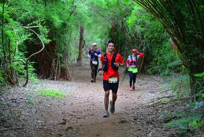 BIB: 5353
                            <button type="button" onclick="openModal(4252767)" class="btn btn-primary btn-sm float-right btn-popup" data-toggle="modal" data-target=".modal-high-quality">
                        <i class="fas fa-shopping-cart"></i> Add to Cart
                    </button>
                                            <button type="button" onclick="isThisMe(4252767, true)" class="btn btn-success btn-sm float-right btn-popup btn-isme hidden" data-toggle="tooltip" data-placement="bottom" title="นี่คือรูปของคุณใช่ไหม คลิกที่นี่เพื่อเอาเข้าอัลบั้ม">
                        <i class="fas fa-plus"></i> Add to album
                    </button>
                    <button type="button" onclick="isThisMe(4252767, false)" class="btn btn-warning btn-sm float-right btn-popup btn-isnotme hidden">
                        <i class="fas fa-ban"></i> Remove from album
                    </button>