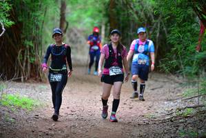 BIB: 3225, 3222, , 
                            <button type="button" onclick="openModal(4251676)" class="btn btn-primary btn-sm float-right btn-popup" data-toggle="modal" data-target=".modal-high-quality">
                        <i class="fas fa-shopping-cart"></i> Add to Cart
                    </button>
                                            <button type="button" onclick="isThisMe(4251676, true)" class="btn btn-success btn-sm float-right btn-popup btn-isme hidden" data-toggle="tooltip" data-placement="bottom" title="นี่คือรูปของคุณใช่ไหม คลิกที่นี่เพื่อเอาเข้าอัลบั้ม">
                        <i class="fas fa-plus"></i> Add to album
                    </button>
                    <button type="button" onclick="isThisMe(4251676, false)" class="btn btn-warning btn-sm float-right btn-popup btn-isnotme hidden">
                        <i class="fas fa-ban"></i> Remove from album
                    </button>