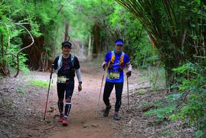 BIB: 5255
                            <button type="button" onclick="openModal(4252851)" class="btn btn-primary btn-sm float-right btn-popup" data-toggle="modal" data-target=".modal-high-quality">
                        <i class="fas fa-shopping-cart"></i> Add to Cart
                    </button>
                                            <button type="button" onclick="isThisMe(4252851, true)" class="btn btn-success btn-sm float-right btn-popup btn-isme hidden" data-toggle="tooltip" data-placement="bottom" title="นี่คือรูปของคุณใช่ไหม คลิกที่นี่เพื่อเอาเข้าอัลบั้ม">
                        <i class="fas fa-plus"></i> Add to album
                    </button>
                    <button type="button" onclick="isThisMe(4252851, false)" class="btn btn-warning btn-sm float-right btn-popup btn-isnotme hidden">
                        <i class="fas fa-ban"></i> Remove from album
                    </button>