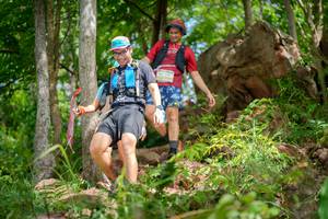 BIB: 
                            <button type="button" onclick="openModal(21986941)" class="btn btn-primary btn-sm float-right btn-popup" data-toggle="modal" data-target=".modal-high-quality">
                        <i class="fas fa-shopping-cart"></i> Add to Cart
                    </button>
                                            <button type="button" onclick="isThisMe(21986941, true)" class="btn btn-success btn-sm float-right btn-popup btn-isme hidden" data-toggle="tooltip" data-placement="bottom" title="นี่คือรูปของคุณใช่ไหม คลิกที่นี่เพื่อเอาเข้าอัลบั้ม">
                        <i class="fas fa-plus"></i> Add to album
                    </button>
                    <button type="button" onclick="isThisMe(21986941, false)" class="btn btn-warning btn-sm float-right btn-popup btn-isnotme hidden">
                        <i class="fas fa-ban"></i> Remove from album
                    </button>