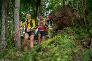 BIB: 
                            <button type="button" onclick="openModal(21985743)" class="btn btn-primary btn-sm float-right btn-popup" data-toggle="modal" data-target=".modal-high-quality">
                        <i class="fas fa-shopping-cart"></i> Add to Cart
                    </button>
                                            <button type="button" onclick="isThisMe(21985743, true)" class="btn btn-success btn-sm float-right btn-popup btn-isme hidden" data-toggle="tooltip" data-placement="bottom" title="นี่คือรูปของคุณใช่ไหม คลิกที่นี่เพื่อเอาเข้าอัลบั้ม">
                        <i class="fas fa-plus"></i> Add to album
                    </button>
                    <button type="button" onclick="isThisMe(21985743, false)" class="btn btn-warning btn-sm float-right btn-popup btn-isnotme hidden">
                        <i class="fas fa-ban"></i> Remove from album
                    </button>