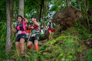 BIB: 
                            <button type="button" onclick="openModal(21986341)" class="btn btn-primary btn-sm float-right btn-popup" data-toggle="modal" data-target=".modal-high-quality">
                        <i class="fas fa-shopping-cart"></i> Add to Cart
                    </button>
                                            <button type="button" onclick="isThisMe(21986341, true)" class="btn btn-success btn-sm float-right btn-popup btn-isme hidden" data-toggle="tooltip" data-placement="bottom" title="นี่คือรูปของคุณใช่ไหม คลิกที่นี่เพื่อเอาเข้าอัลบั้ม">
                        <i class="fas fa-plus"></i> Add to album
                    </button>
                    <button type="button" onclick="isThisMe(21986341, false)" class="btn btn-warning btn-sm float-right btn-popup btn-isnotme hidden">
                        <i class="fas fa-ban"></i> Remove from album
                    </button>