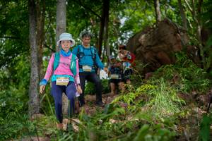 BIB: 
                            <button type="button" onclick="openModal(21987290)" class="btn btn-primary btn-sm float-right btn-popup" data-toggle="modal" data-target=".modal-high-quality">
                        <i class="fas fa-shopping-cart"></i> Add to Cart
                    </button>
                                            <button type="button" onclick="isThisMe(21987290, true)" class="btn btn-success btn-sm float-right btn-popup btn-isme hidden" data-toggle="tooltip" data-placement="bottom" title="นี่คือรูปของคุณใช่ไหม คลิกที่นี่เพื่อเอาเข้าอัลบั้ม">
                        <i class="fas fa-plus"></i> Add to album
                    </button>
                    <button type="button" onclick="isThisMe(21987290, false)" class="btn btn-warning btn-sm float-right btn-popup btn-isnotme hidden">
                        <i class="fas fa-ban"></i> Remove from album
                    </button>