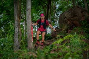 BIB: 
                            <button type="button" onclick="openModal(21986014)" class="btn btn-primary btn-sm float-right btn-popup" data-toggle="modal" data-target=".modal-high-quality">
                        <i class="fas fa-shopping-cart"></i> Add to Cart
                    </button>
                                            <button type="button" onclick="isThisMe(21986014, true)" class="btn btn-success btn-sm float-right btn-popup btn-isme hidden" data-toggle="tooltip" data-placement="bottom" title="นี่คือรูปของคุณใช่ไหม คลิกที่นี่เพื่อเอาเข้าอัลบั้ม">
                        <i class="fas fa-plus"></i> Add to album
                    </button>
                    <button type="button" onclick="isThisMe(21986014, false)" class="btn btn-warning btn-sm float-right btn-popup btn-isnotme hidden">
                        <i class="fas fa-ban"></i> Remove from album
                    </button>