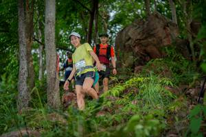 BIB: 
                            <button type="button" onclick="openModal(21985962)" class="btn btn-primary btn-sm float-right btn-popup" data-toggle="modal" data-target=".modal-high-quality">
                        <i class="fas fa-shopping-cart"></i> Add to Cart
                    </button>
                                            <button type="button" onclick="isThisMe(21985962, true)" class="btn btn-success btn-sm float-right btn-popup btn-isme hidden" data-toggle="tooltip" data-placement="bottom" title="นี่คือรูปของคุณใช่ไหม คลิกที่นี่เพื่อเอาเข้าอัลบั้ม">
                        <i class="fas fa-plus"></i> Add to album
                    </button>
                    <button type="button" onclick="isThisMe(21985962, false)" class="btn btn-warning btn-sm float-right btn-popup btn-isnotme hidden">
                        <i class="fas fa-ban"></i> Remove from album
                    </button>