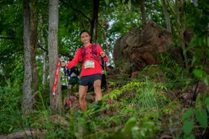 BIB: 
                            <button type="button" onclick="openModal(21986046)" class="btn btn-primary btn-sm float-right btn-popup" data-toggle="modal" data-target=".modal-high-quality">
                        <i class="fas fa-shopping-cart"></i> Add to Cart
                    </button>
                                            <button type="button" onclick="isThisMe(21986046, true)" class="btn btn-success btn-sm float-right btn-popup btn-isme hidden" data-toggle="tooltip" data-placement="bottom" title="นี่คือรูปของคุณใช่ไหม คลิกที่นี่เพื่อเอาเข้าอัลบั้ม">
                        <i class="fas fa-plus"></i> Add to album
                    </button>
                    <button type="button" onclick="isThisMe(21986046, false)" class="btn btn-warning btn-sm float-right btn-popup btn-isnotme hidden">
                        <i class="fas fa-ban"></i> Remove from album
                    </button>