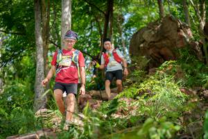 BIB: 
                            <button type="button" onclick="openModal(21986979)" class="btn btn-primary btn-sm float-right btn-popup" data-toggle="modal" data-target=".modal-high-quality">
                        <i class="fas fa-shopping-cart"></i> Add to Cart
                    </button>
                                            <button type="button" onclick="isThisMe(21986979, true)" class="btn btn-success btn-sm float-right btn-popup btn-isme hidden" data-toggle="tooltip" data-placement="bottom" title="นี่คือรูปของคุณใช่ไหม คลิกที่นี่เพื่อเอาเข้าอัลบั้ม">
                        <i class="fas fa-plus"></i> Add to album
                    </button>
                    <button type="button" onclick="isThisMe(21986979, false)" class="btn btn-warning btn-sm float-right btn-popup btn-isnotme hidden">
                        <i class="fas fa-ban"></i> Remove from album
                    </button>