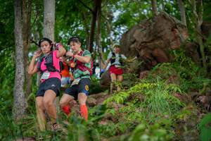 BIB: 
                            <button type="button" onclick="openModal(21986342)" class="btn btn-primary btn-sm float-right btn-popup" data-toggle="modal" data-target=".modal-high-quality">
                        <i class="fas fa-shopping-cart"></i> Add to Cart
                    </button>
                                            <button type="button" onclick="isThisMe(21986342, true)" class="btn btn-success btn-sm float-right btn-popup btn-isme hidden" data-toggle="tooltip" data-placement="bottom" title="นี่คือรูปของคุณใช่ไหม คลิกที่นี่เพื่อเอาเข้าอัลบั้ม">
                        <i class="fas fa-plus"></i> Add to album
                    </button>
                    <button type="button" onclick="isThisMe(21986342, false)" class="btn btn-warning btn-sm float-right btn-popup btn-isnotme hidden">
                        <i class="fas fa-ban"></i> Remove from album
                    </button>