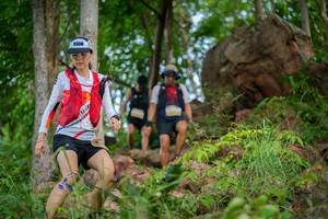 BIB: 
                            <button type="button" onclick="openModal(21986624)" class="btn btn-primary btn-sm float-right btn-popup" data-toggle="modal" data-target=".modal-high-quality">
                        <i class="fas fa-shopping-cart"></i> Add to Cart
                    </button>
                                            <button type="button" onclick="isThisMe(21986624, true)" class="btn btn-success btn-sm float-right btn-popup btn-isme hidden" data-toggle="tooltip" data-placement="bottom" title="นี่คือรูปของคุณใช่ไหม คลิกที่นี่เพื่อเอาเข้าอัลบั้ม">
                        <i class="fas fa-plus"></i> Add to album
                    </button>
                    <button type="button" onclick="isThisMe(21986624, false)" class="btn btn-warning btn-sm float-right btn-popup btn-isnotme hidden">
                        <i class="fas fa-ban"></i> Remove from album
                    </button>