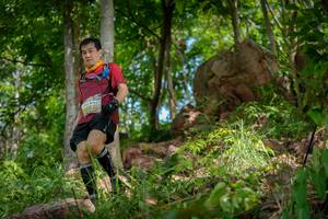 BIB: 2008
                            <button type="button" onclick="openModal(21987235)" class="btn btn-primary btn-sm float-right btn-popup" data-toggle="modal" data-target=".modal-high-quality">
                        <i class="fas fa-shopping-cart"></i> Add to Cart
                    </button>
                                            <button type="button" onclick="isThisMe(21987235, true)" class="btn btn-success btn-sm float-right btn-popup btn-isme hidden" data-toggle="tooltip" data-placement="bottom" title="นี่คือรูปของคุณใช่ไหม คลิกที่นี่เพื่อเอาเข้าอัลบั้ม">
                        <i class="fas fa-plus"></i> Add to album
                    </button>
                    <button type="button" onclick="isThisMe(21987235, false)" class="btn btn-warning btn-sm float-right btn-popup btn-isnotme hidden">
                        <i class="fas fa-ban"></i> Remove from album
                    </button>