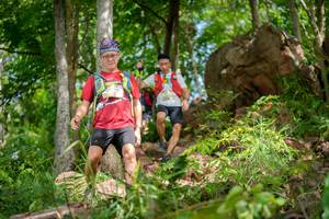 BIB: 
                            <button type="button" onclick="openModal(21986980)" class="btn btn-primary btn-sm float-right btn-popup" data-toggle="modal" data-target=".modal-high-quality">
                        <i class="fas fa-shopping-cart"></i> Add to Cart
                    </button>
                                            <button type="button" onclick="isThisMe(21986980, true)" class="btn btn-success btn-sm float-right btn-popup btn-isme hidden" data-toggle="tooltip" data-placement="bottom" title="นี่คือรูปของคุณใช่ไหม คลิกที่นี่เพื่อเอาเข้าอัลบั้ม">
                        <i class="fas fa-plus"></i> Add to album
                    </button>
                    <button type="button" onclick="isThisMe(21986980, false)" class="btn btn-warning btn-sm float-right btn-popup btn-isnotme hidden">
                        <i class="fas fa-ban"></i> Remove from album
                    </button>