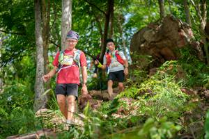 BIB: 
                            <button type="button" onclick="openModal(21986976)" class="btn btn-primary btn-sm float-right btn-popup" data-toggle="modal" data-target=".modal-high-quality">
                        <i class="fas fa-shopping-cart"></i> Add to Cart
                    </button>
                                            <button type="button" onclick="isThisMe(21986976, true)" class="btn btn-success btn-sm float-right btn-popup btn-isme hidden" data-toggle="tooltip" data-placement="bottom" title="นี่คือรูปของคุณใช่ไหม คลิกที่นี่เพื่อเอาเข้าอัลบั้ม">
                        <i class="fas fa-plus"></i> Add to album
                    </button>
                    <button type="button" onclick="isThisMe(21986976, false)" class="btn btn-warning btn-sm float-right btn-popup btn-isnotme hidden">
                        <i class="fas fa-ban"></i> Remove from album
                    </button>