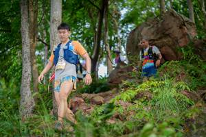 BIB: 2005
                            <button type="button" onclick="openModal(21986583)" class="btn btn-primary btn-sm float-right btn-popup" data-toggle="modal" data-target=".modal-high-quality">
                        <i class="fas fa-shopping-cart"></i> Add to Cart
                    </button>
                                            <button type="button" onclick="isThisMe(21986583, true)" class="btn btn-success btn-sm float-right btn-popup btn-isme hidden" data-toggle="tooltip" data-placement="bottom" title="นี่คือรูปของคุณใช่ไหม คลิกที่นี่เพื่อเอาเข้าอัลบั้ม">
                        <i class="fas fa-plus"></i> Add to album
                    </button>
                    <button type="button" onclick="isThisMe(21986583, false)" class="btn btn-warning btn-sm float-right btn-popup btn-isnotme hidden">
                        <i class="fas fa-ban"></i> Remove from album
                    </button>