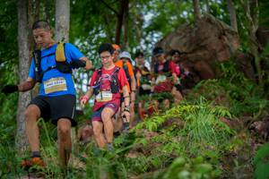 BIB: 5028
                            <button type="button" onclick="openModal(21986321)" class="btn btn-primary btn-sm float-right btn-popup" data-toggle="modal" data-target=".modal-high-quality">
                        <i class="fas fa-shopping-cart"></i> Add to Cart
                    </button>
                                            <button type="button" onclick="isThisMe(21986321, true)" class="btn btn-success btn-sm float-right btn-popup btn-isme hidden" data-toggle="tooltip" data-placement="bottom" title="นี่คือรูปของคุณใช่ไหม คลิกที่นี่เพื่อเอาเข้าอัลบั้ม">
                        <i class="fas fa-plus"></i> Add to album
                    </button>
                    <button type="button" onclick="isThisMe(21986321, false)" class="btn btn-warning btn-sm float-right btn-popup btn-isnotme hidden">
                        <i class="fas fa-ban"></i> Remove from album
                    </button>