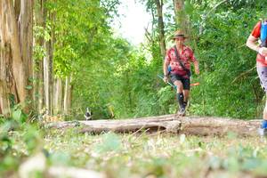 BIB: 
                            <button type="button" onclick="openModal(21989672)" class="btn btn-primary btn-sm float-right btn-popup" data-toggle="modal" data-target=".modal-high-quality">
                        <i class="fas fa-shopping-cart"></i> Add to Cart
                    </button>
                                            <button type="button" onclick="isThisMe(21989672, true)" class="btn btn-success btn-sm float-right btn-popup btn-isme hidden" data-toggle="tooltip" data-placement="bottom" title="นี่คือรูปของคุณใช่ไหม คลิกที่นี่เพื่อเอาเข้าอัลบั้ม">
                        <i class="fas fa-plus"></i> Add to album
                    </button>
                    <button type="button" onclick="isThisMe(21989672, false)" class="btn btn-warning btn-sm float-right btn-popup btn-isnotme hidden">
                        <i class="fas fa-ban"></i> Remove from album
                    </button>