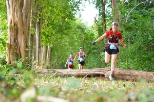 BIB: 
                            <button type="button" onclick="openModal(21989204)" class="btn btn-primary btn-sm float-right btn-popup" data-toggle="modal" data-target=".modal-high-quality">
                        <i class="fas fa-shopping-cart"></i> Add to Cart
                    </button>
                                            <button type="button" onclick="isThisMe(21989204, true)" class="btn btn-success btn-sm float-right btn-popup btn-isme hidden" data-toggle="tooltip" data-placement="bottom" title="นี่คือรูปของคุณใช่ไหม คลิกที่นี่เพื่อเอาเข้าอัลบั้ม">
                        <i class="fas fa-plus"></i> Add to album
                    </button>
                    <button type="button" onclick="isThisMe(21989204, false)" class="btn btn-warning btn-sm float-right btn-popup btn-isnotme hidden">
                        <i class="fas fa-ban"></i> Remove from album
                    </button>