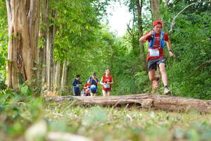 BIB: 
                            <button type="button" onclick="openModal(21984331)" class="btn btn-primary btn-sm float-right btn-popup" data-toggle="modal" data-target=".modal-high-quality">
                        <i class="fas fa-shopping-cart"></i> Add to Cart
                    </button>
                                            <button type="button" onclick="isThisMe(21984331, true)" class="btn btn-success btn-sm float-right btn-popup btn-isme hidden" data-toggle="tooltip" data-placement="bottom" title="นี่คือรูปของคุณใช่ไหม คลิกที่นี่เพื่อเอาเข้าอัลบั้ม">
                        <i class="fas fa-plus"></i> Add to album
                    </button>
                    <button type="button" onclick="isThisMe(21984331, false)" class="btn btn-warning btn-sm float-right btn-popup btn-isnotme hidden">
                        <i class="fas fa-ban"></i> Remove from album
                    </button>