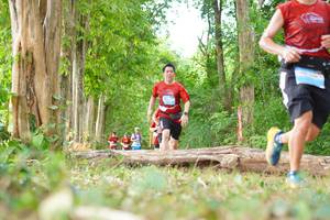 BIB: 
                            <button type="button" onclick="openModal(21988833)" class="btn btn-primary btn-sm float-right btn-popup" data-toggle="modal" data-target=".modal-high-quality">
                        <i class="fas fa-shopping-cart"></i> Add to Cart
                    </button>
                                            <button type="button" onclick="isThisMe(21988833, true)" class="btn btn-success btn-sm float-right btn-popup btn-isme hidden" data-toggle="tooltip" data-placement="bottom" title="นี่คือรูปของคุณใช่ไหม คลิกที่นี่เพื่อเอาเข้าอัลบั้ม">
                        <i class="fas fa-plus"></i> Add to album
                    </button>
                    <button type="button" onclick="isThisMe(21988833, false)" class="btn btn-warning btn-sm float-right btn-popup btn-isnotme hidden">
                        <i class="fas fa-ban"></i> Remove from album
                    </button>