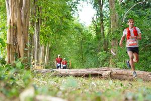 BIB: 
                            <button type="button" onclick="openModal(21989336)" class="btn btn-primary btn-sm float-right btn-popup" data-toggle="modal" data-target=".modal-high-quality">
                        <i class="fas fa-shopping-cart"></i> Add to Cart
                    </button>
                                            <button type="button" onclick="isThisMe(21989336, true)" class="btn btn-success btn-sm float-right btn-popup btn-isme hidden" data-toggle="tooltip" data-placement="bottom" title="นี่คือรูปของคุณใช่ไหม คลิกที่นี่เพื่อเอาเข้าอัลบั้ม">
                        <i class="fas fa-plus"></i> Add to album
                    </button>
                    <button type="button" onclick="isThisMe(21989336, false)" class="btn btn-warning btn-sm float-right btn-popup btn-isnotme hidden">
                        <i class="fas fa-ban"></i> Remove from album
                    </button>