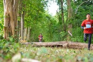 BIB: 
                            <button type="button" onclick="openModal(21989067)" class="btn btn-primary btn-sm float-right btn-popup" data-toggle="modal" data-target=".modal-high-quality">
                        <i class="fas fa-shopping-cart"></i> Add to Cart
                    </button>
                                            <button type="button" onclick="isThisMe(21989067, true)" class="btn btn-success btn-sm float-right btn-popup btn-isme hidden" data-toggle="tooltip" data-placement="bottom" title="นี่คือรูปของคุณใช่ไหม คลิกที่นี่เพื่อเอาเข้าอัลบั้ม">
                        <i class="fas fa-plus"></i> Add to album
                    </button>
                    <button type="button" onclick="isThisMe(21989067, false)" class="btn btn-warning btn-sm float-right btn-popup btn-isnotme hidden">
                        <i class="fas fa-ban"></i> Remove from album
                    </button>