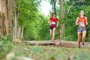 BIB: 
                            <button type="button" onclick="openModal(21984058)" class="btn btn-primary btn-sm float-right btn-popup" data-toggle="modal" data-target=".modal-high-quality">
                        <i class="fas fa-shopping-cart"></i> Add to Cart
                    </button>
                                            <button type="button" onclick="isThisMe(21984058, true)" class="btn btn-success btn-sm float-right btn-popup btn-isme hidden" data-toggle="tooltip" data-placement="bottom" title="นี่คือรูปของคุณใช่ไหม คลิกที่นี่เพื่อเอาเข้าอัลบั้ม">
                        <i class="fas fa-plus"></i> Add to album
                    </button>
                    <button type="button" onclick="isThisMe(21984058, false)" class="btn btn-warning btn-sm float-right btn-popup btn-isnotme hidden">
                        <i class="fas fa-ban"></i> Remove from album
                    </button>