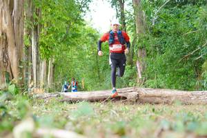 BIB: 
                            <button type="button" onclick="openModal(21984496)" class="btn btn-primary btn-sm float-right btn-popup" data-toggle="modal" data-target=".modal-high-quality">
                        <i class="fas fa-shopping-cart"></i> Add to Cart
                    </button>
                                            <button type="button" onclick="isThisMe(21984496, true)" class="btn btn-success btn-sm float-right btn-popup btn-isme hidden" data-toggle="tooltip" data-placement="bottom" title="นี่คือรูปของคุณใช่ไหม คลิกที่นี่เพื่อเอาเข้าอัลบั้ม">
                        <i class="fas fa-plus"></i> Add to album
                    </button>
                    <button type="button" onclick="isThisMe(21984496, false)" class="btn btn-warning btn-sm float-right btn-popup btn-isnotme hidden">
                        <i class="fas fa-ban"></i> Remove from album
                    </button>