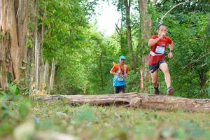 BIB: 
                            <button type="button" onclick="openModal(21984070)" class="btn btn-primary btn-sm float-right btn-popup" data-toggle="modal" data-target=".modal-high-quality">
                        <i class="fas fa-shopping-cart"></i> Add to Cart
                    </button>
                                            <button type="button" onclick="isThisMe(21984070, true)" class="btn btn-success btn-sm float-right btn-popup btn-isme hidden" data-toggle="tooltip" data-placement="bottom" title="นี่คือรูปของคุณใช่ไหม คลิกที่นี่เพื่อเอาเข้าอัลบั้ม">
                        <i class="fas fa-plus"></i> Add to album
                    </button>
                    <button type="button" onclick="isThisMe(21984070, false)" class="btn btn-warning btn-sm float-right btn-popup btn-isnotme hidden">
                        <i class="fas fa-ban"></i> Remove from album
                    </button>