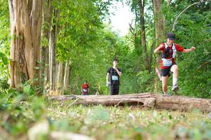 BIB: 
                            <button type="button" onclick="openModal(21989215)" class="btn btn-primary btn-sm float-right btn-popup" data-toggle="modal" data-target=".modal-high-quality">
                        <i class="fas fa-shopping-cart"></i> Add to Cart
                    </button>
                                            <button type="button" onclick="isThisMe(21989215, true)" class="btn btn-success btn-sm float-right btn-popup btn-isme hidden" data-toggle="tooltip" data-placement="bottom" title="นี่คือรูปของคุณใช่ไหม คลิกที่นี่เพื่อเอาเข้าอัลบั้ม">
                        <i class="fas fa-plus"></i> Add to album
                    </button>
                    <button type="button" onclick="isThisMe(21989215, false)" class="btn btn-warning btn-sm float-right btn-popup btn-isnotme hidden">
                        <i class="fas fa-ban"></i> Remove from album
                    </button>