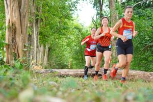 BIB: 
                            <button type="button" onclick="openModal(21988558)" class="btn btn-primary btn-sm float-right btn-popup" data-toggle="modal" data-target=".modal-high-quality">
                        <i class="fas fa-shopping-cart"></i> Add to Cart
                    </button>
                                            <button type="button" onclick="isThisMe(21988558, true)" class="btn btn-success btn-sm float-right btn-popup btn-isme hidden" data-toggle="tooltip" data-placement="bottom" title="นี่คือรูปของคุณใช่ไหม คลิกที่นี่เพื่อเอาเข้าอัลบั้ม">
                        <i class="fas fa-plus"></i> Add to album
                    </button>
                    <button type="button" onclick="isThisMe(21988558, false)" class="btn btn-warning btn-sm float-right btn-popup btn-isnotme hidden">
                        <i class="fas fa-ban"></i> Remove from album
                    </button>