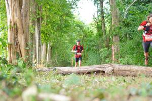 BIB: 
                            <button type="button" onclick="openModal(21989631)" class="btn btn-primary btn-sm float-right btn-popup" data-toggle="modal" data-target=".modal-high-quality">
                        <i class="fas fa-shopping-cart"></i> Add to Cart
                    </button>
                                            <button type="button" onclick="isThisMe(21989631, true)" class="btn btn-success btn-sm float-right btn-popup btn-isme hidden" data-toggle="tooltip" data-placement="bottom" title="นี่คือรูปของคุณใช่ไหม คลิกที่นี่เพื่อเอาเข้าอัลบั้ม">
                        <i class="fas fa-plus"></i> Add to album
                    </button>
                    <button type="button" onclick="isThisMe(21989631, false)" class="btn btn-warning btn-sm float-right btn-popup btn-isnotme hidden">
                        <i class="fas fa-ban"></i> Remove from album
                    </button>