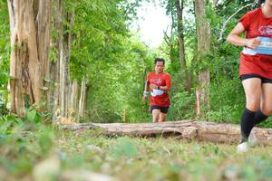 BIB: 
                            <button type="button" onclick="openModal(21988662)" class="btn btn-primary btn-sm float-right btn-popup" data-toggle="modal" data-target=".modal-high-quality">
                        <i class="fas fa-shopping-cart"></i> Add to Cart
                    </button>
                                            <button type="button" onclick="isThisMe(21988662, true)" class="btn btn-success btn-sm float-right btn-popup btn-isme hidden" data-toggle="tooltip" data-placement="bottom" title="นี่คือรูปของคุณใช่ไหม คลิกที่นี่เพื่อเอาเข้าอัลบั้ม">
                        <i class="fas fa-plus"></i> Add to album
                    </button>
                    <button type="button" onclick="isThisMe(21988662, false)" class="btn btn-warning btn-sm float-right btn-popup btn-isnotme hidden">
                        <i class="fas fa-ban"></i> Remove from album
                    </button>