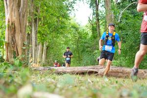 BIB: 
                            <button type="button" onclick="openModal(21984255)" class="btn btn-primary btn-sm float-right btn-popup" data-toggle="modal" data-target=".modal-high-quality">
                        <i class="fas fa-shopping-cart"></i> Add to Cart
                    </button>
                                            <button type="button" onclick="isThisMe(21984255, true)" class="btn btn-success btn-sm float-right btn-popup btn-isme hidden" data-toggle="tooltip" data-placement="bottom" title="นี่คือรูปของคุณใช่ไหม คลิกที่นี่เพื่อเอาเข้าอัลบั้ม">
                        <i class="fas fa-plus"></i> Add to album
                    </button>
                    <button type="button" onclick="isThisMe(21984255, false)" class="btn btn-warning btn-sm float-right btn-popup btn-isnotme hidden">
                        <i class="fas fa-ban"></i> Remove from album
                    </button>