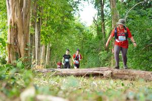 BIB: 
                            <button type="button" onclick="openModal(21989212)" class="btn btn-primary btn-sm float-right btn-popup" data-toggle="modal" data-target=".modal-high-quality">
                        <i class="fas fa-shopping-cart"></i> Add to Cart
                    </button>
                                            <button type="button" onclick="isThisMe(21989212, true)" class="btn btn-success btn-sm float-right btn-popup btn-isme hidden" data-toggle="tooltip" data-placement="bottom" title="นี่คือรูปของคุณใช่ไหม คลิกที่นี่เพื่อเอาเข้าอัลบั้ม">
                        <i class="fas fa-plus"></i> Add to album
                    </button>
                    <button type="button" onclick="isThisMe(21989212, false)" class="btn btn-warning btn-sm float-right btn-popup btn-isnotme hidden">
                        <i class="fas fa-ban"></i> Remove from album
                    </button>