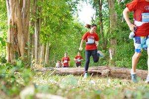 BIB: 
                            <button type="button" onclick="openModal(21989436)" class="btn btn-primary btn-sm float-right btn-popup" data-toggle="modal" data-target=".modal-high-quality">
                        <i class="fas fa-shopping-cart"></i> Add to Cart
                    </button>
                                            <button type="button" onclick="isThisMe(21989436, true)" class="btn btn-success btn-sm float-right btn-popup btn-isme hidden" data-toggle="tooltip" data-placement="bottom" title="นี่คือรูปของคุณใช่ไหม คลิกที่นี่เพื่อเอาเข้าอัลบั้ม">
                        <i class="fas fa-plus"></i> Add to album
                    </button>
                    <button type="button" onclick="isThisMe(21989436, false)" class="btn btn-warning btn-sm float-right btn-popup btn-isnotme hidden">
                        <i class="fas fa-ban"></i> Remove from album
                    </button>